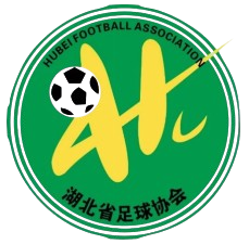 湖北足协U15 湖北足协U15