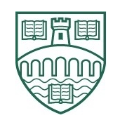 圣灵大学 圣灵大学