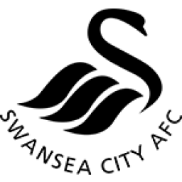 斯旺西 斯旺西